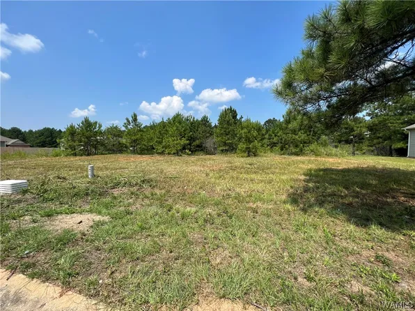 101 Crimson Ridge Rd Lot 101, Brookwood, AL 35444