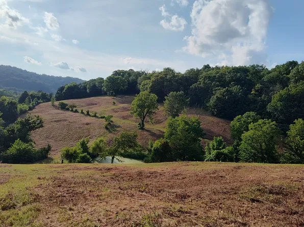 0 Hurricane Creek Rd, Woodbury, TN 37190