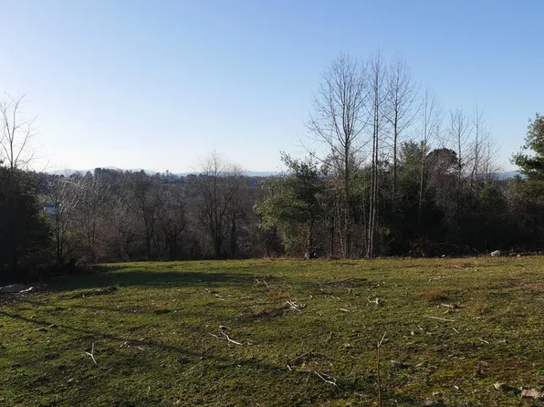 Tbd Trapper Dr, Woodlawn, VA 24381