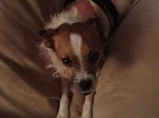 21 Lake Rd, West Yarmouth, MA 02673