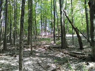 Dewey Ave, North Collins, NY 14111