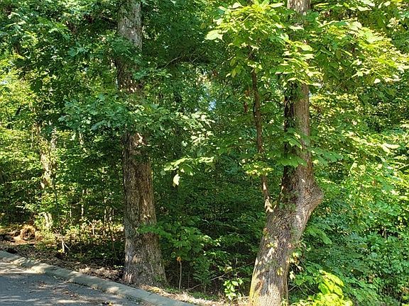 2nd image of 1 Shady Oaks Cv