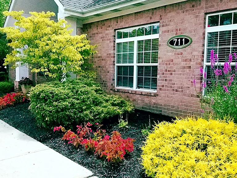 Bayberry Place Apartments — Photo 9