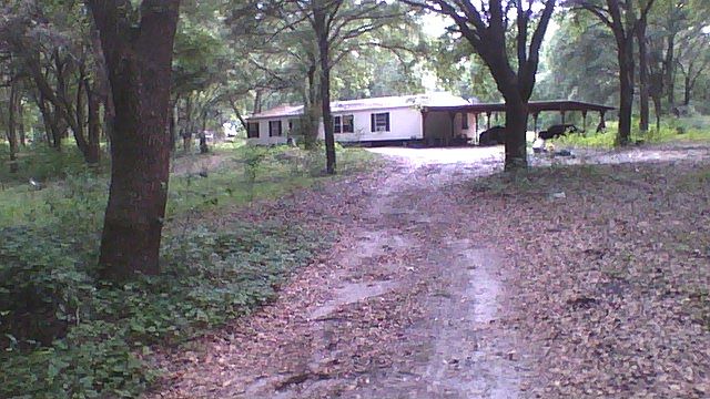 Driveway leading to house