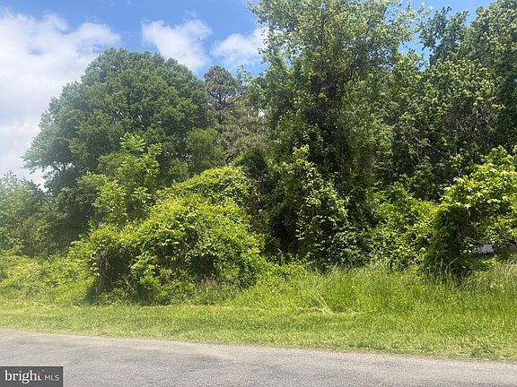 5th image of 21190 Green Ln