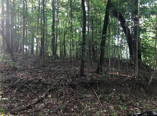 Lions Health Camp Rd, Indiana, PA 15701