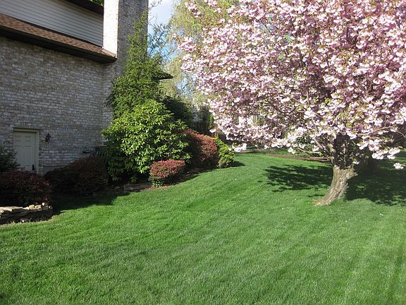 3834 Trent Ct side to rear view