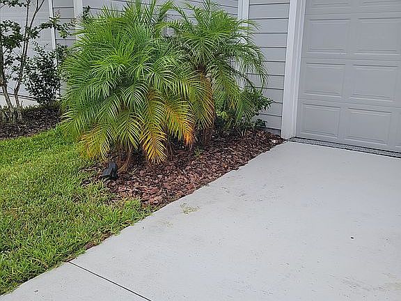 5th image of 1132 Grand Cypress Ct