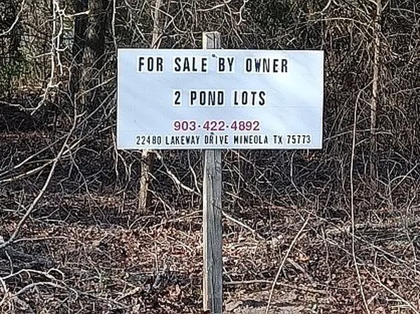 22480 Lakeway Dr, Mineola, TX 75773