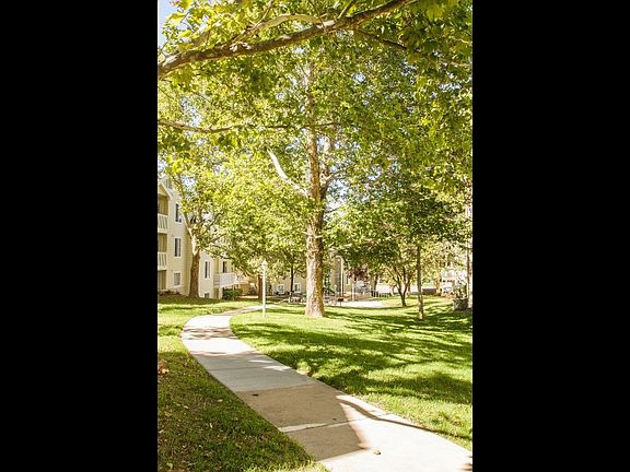 Serene Walkways