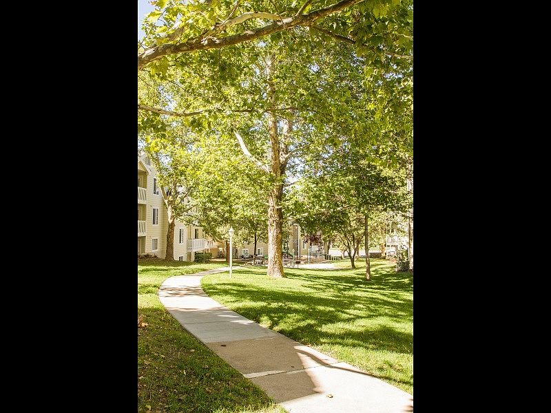 Serene Walkways