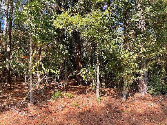 5th image of LOT 5 Lake Jennifer Dr