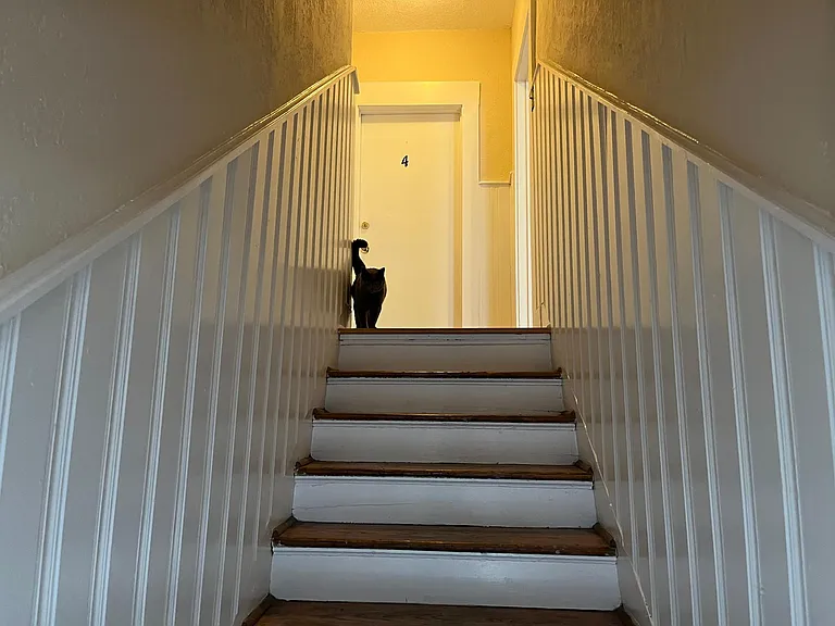 240 N McNeil St #3 — Photo 19