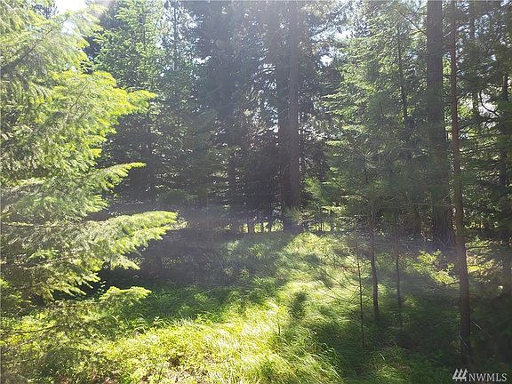 5th image of 31 Birch Ct