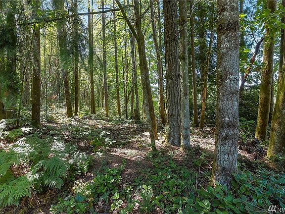 This tree-filled section is what you are greeted with as you drive up to the house.
