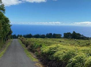 36-753 Spencer Rd LOT 16, Laupahoehoe, HI 96764