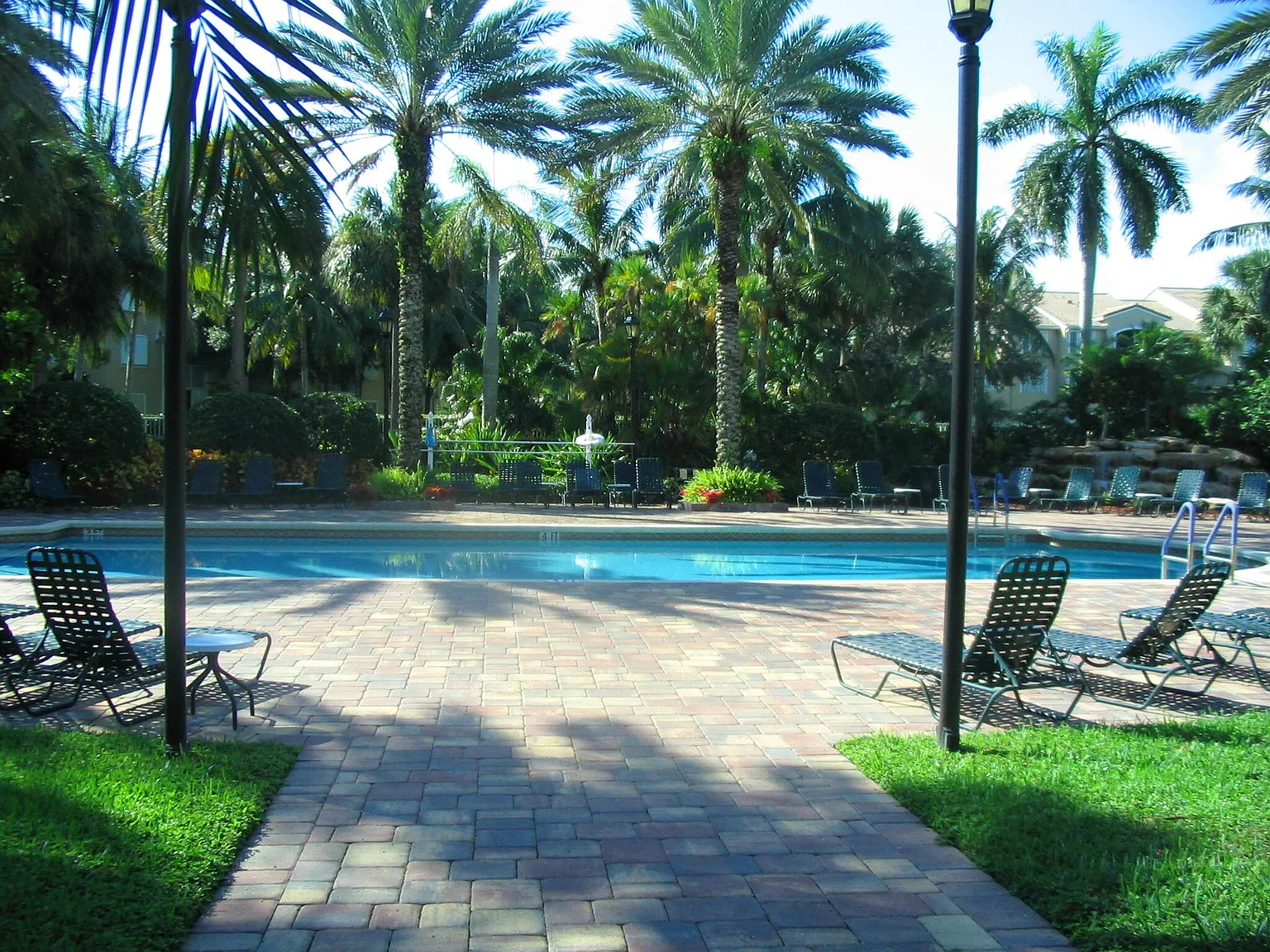 2 bed, 2.0 bath, 991 sqft, $2,500 — Photo 2