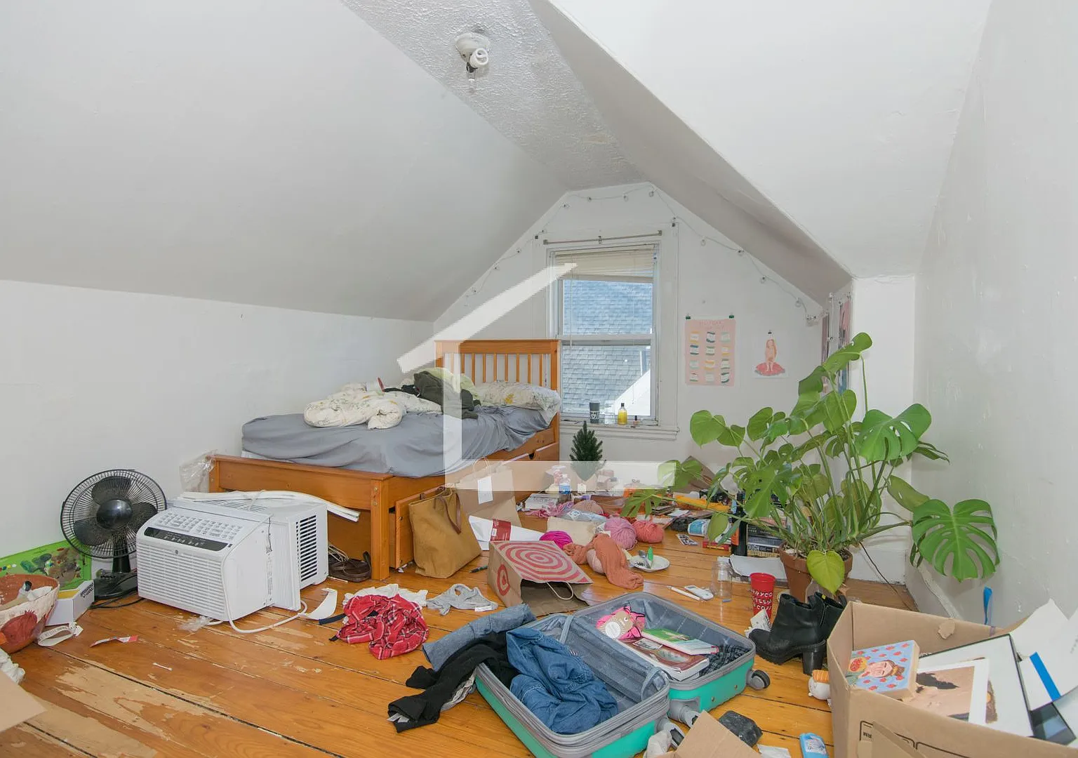 Large 3 bed unit near the Green Line and BU with parking — Photo 3