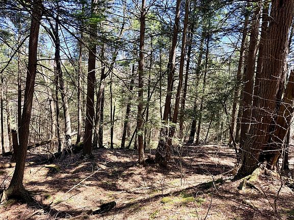 4th image of 8 Hemlock Rd
