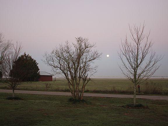 View West from front door
