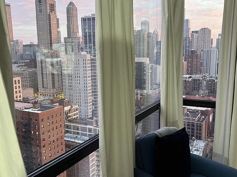 1122 N Clark St #3307 — Photo 10