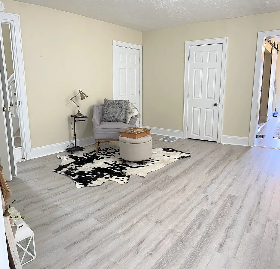 2 bed, 850 sqft, $950 — Photo 4