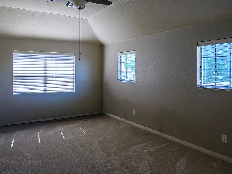 627 Oxalis — Photo 15
