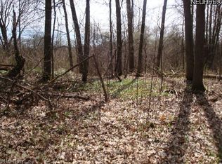 Fortney Rd, Orwell, OH 44076