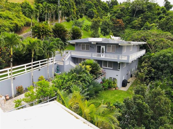 State Highway 715, Cayey, PR 00736