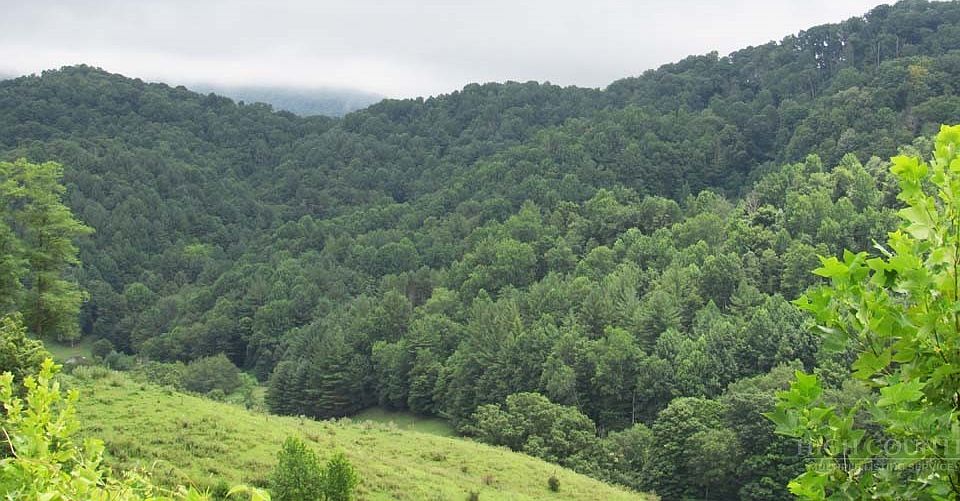 1st image of TBD Little Laurel Road