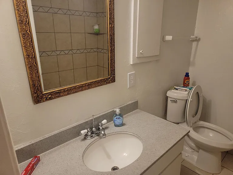 The Pines Apts — Photo 18