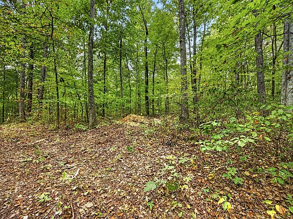 2nd image of 0 Timber Ridge Ln Lot 21