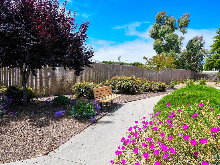 Emerald Bay Apartments — Photo 12