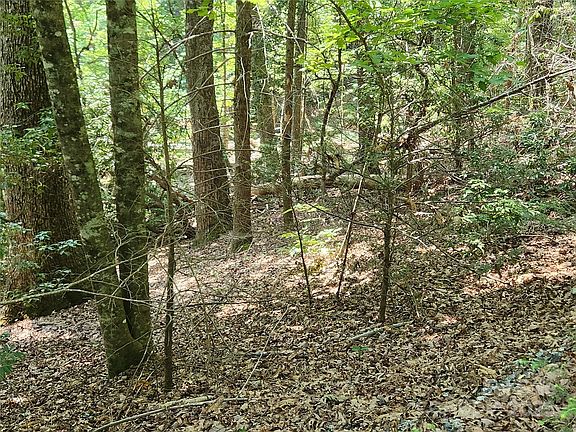 4th image of 185 & 186 Weaver Ln