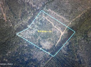 3469 Calf Pen Bay Rd, Pineland, SC 29934