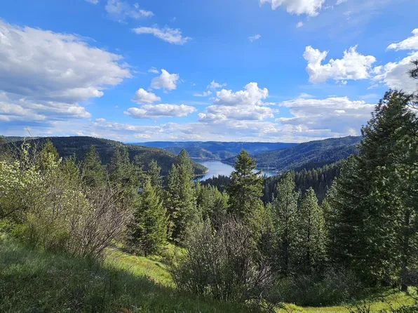 Lynx Ln, Lenore, ID 83541