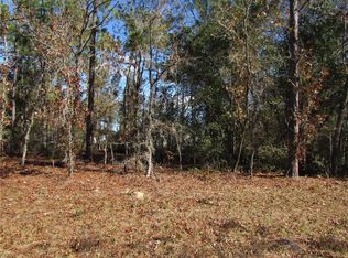 LOT 18 SW 156th St LOT 18, Ocala, FL 34473