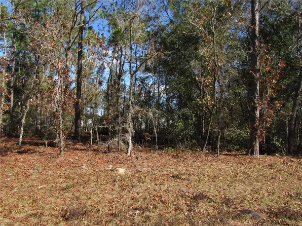 LOT 18 SW 156th St Lot 18, Ocala, FL 34473