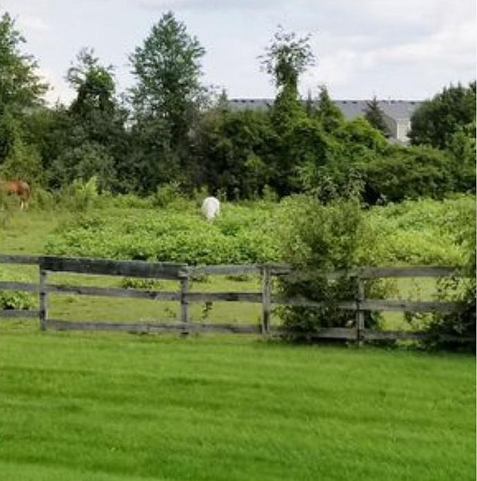 View from back windows