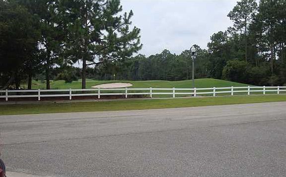 2nd image of 102 Royal Tern Way St
