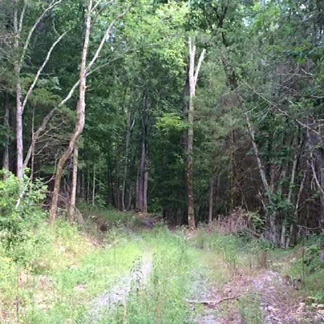 2nd image of 8 Dorris Patton Rd