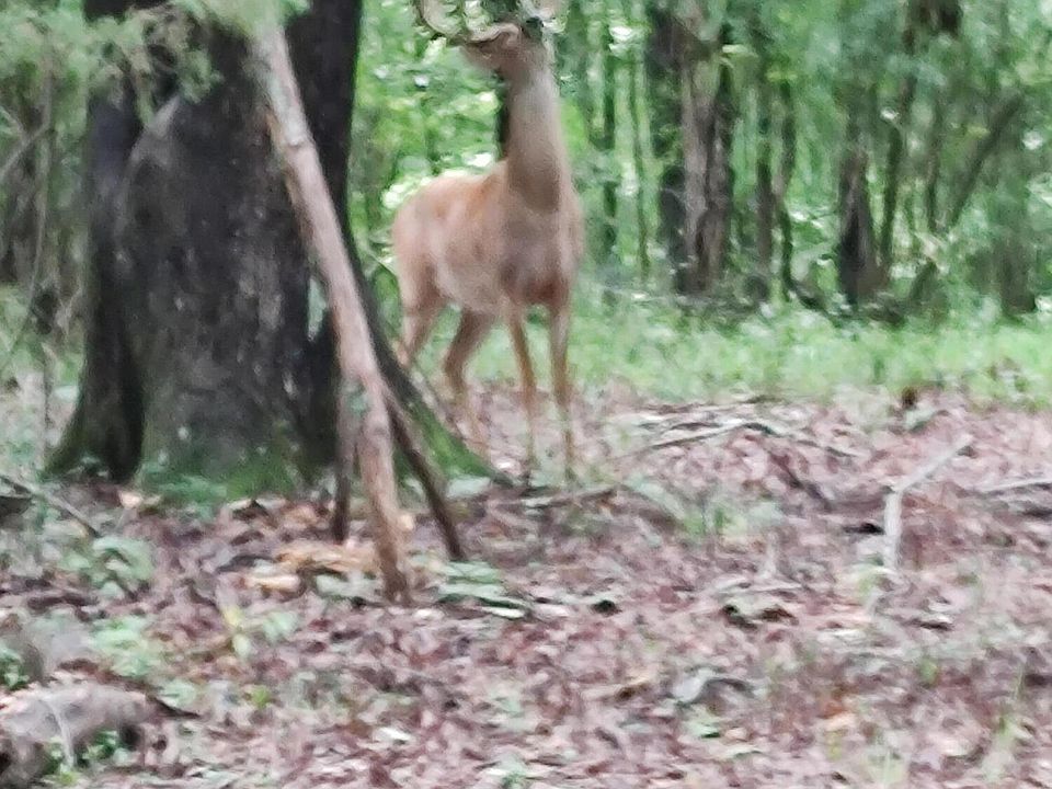 2nd image of 6049 Babelay Rd