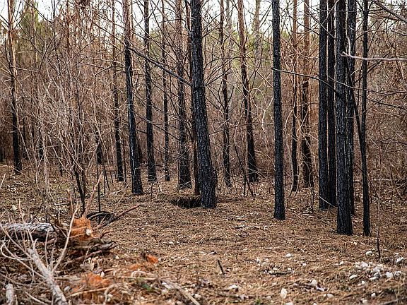 5th image of 614 County Road 58