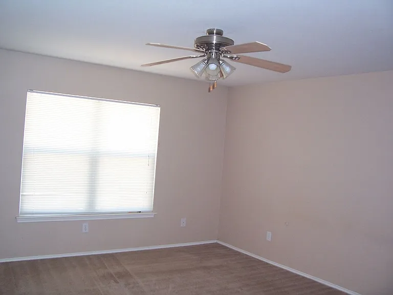 313 Edgewood Cv — Photo 11