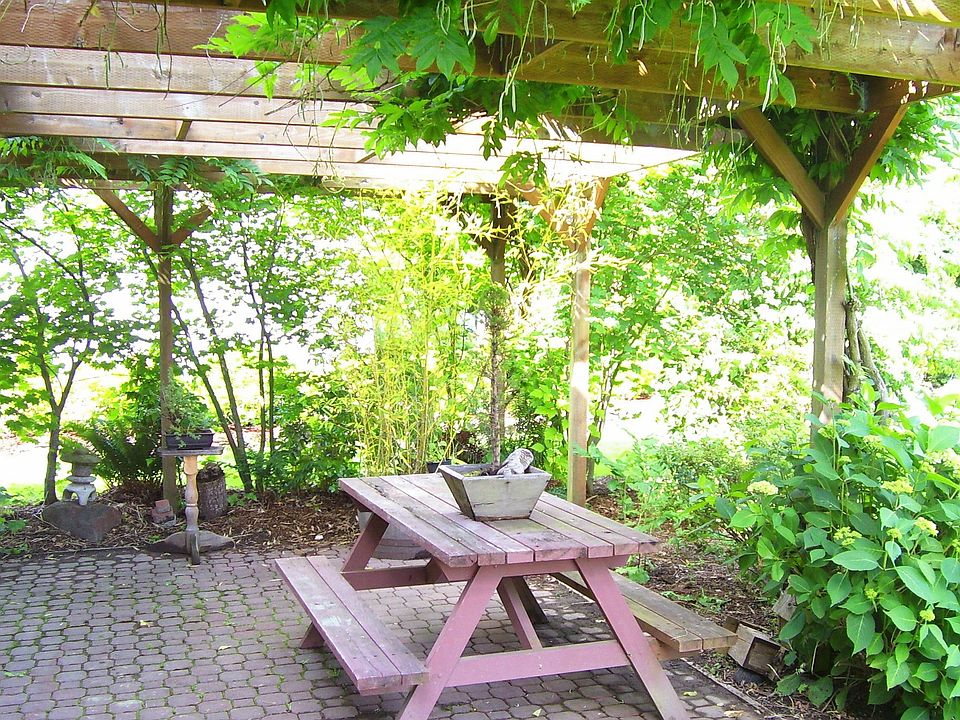 Plenty of shade to relax