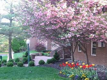 1st image of 1314 Wharton Dr