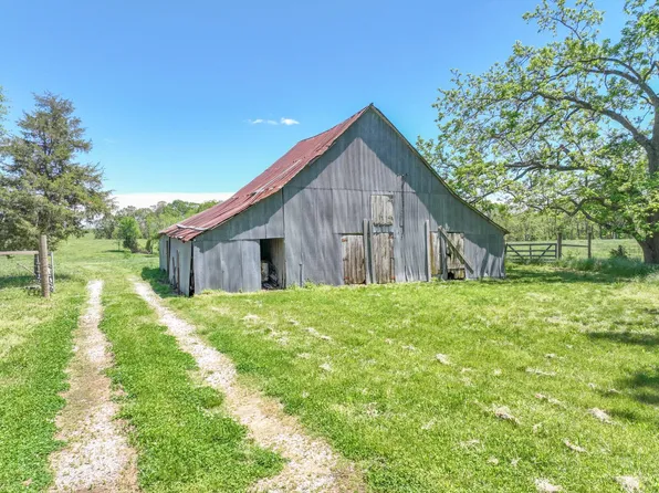 1004 Terrapin Springs Road, Crane, MO 65633