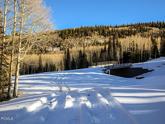 3rd image of 315 White Pine Canyon Rd Lot 315