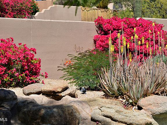 5th image of 12184 E Poinsettia Dr