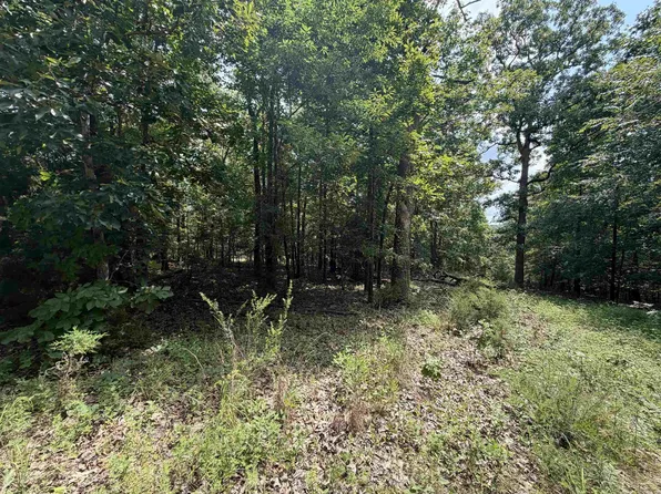 25 Blackfoot Dr, Cherokee Village, AR 72529
